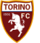 Torino-fc-logo